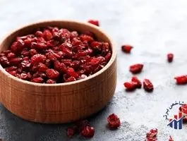 محصول محبوب ایرانی‌ها به ۱۶ کشور صادر شد