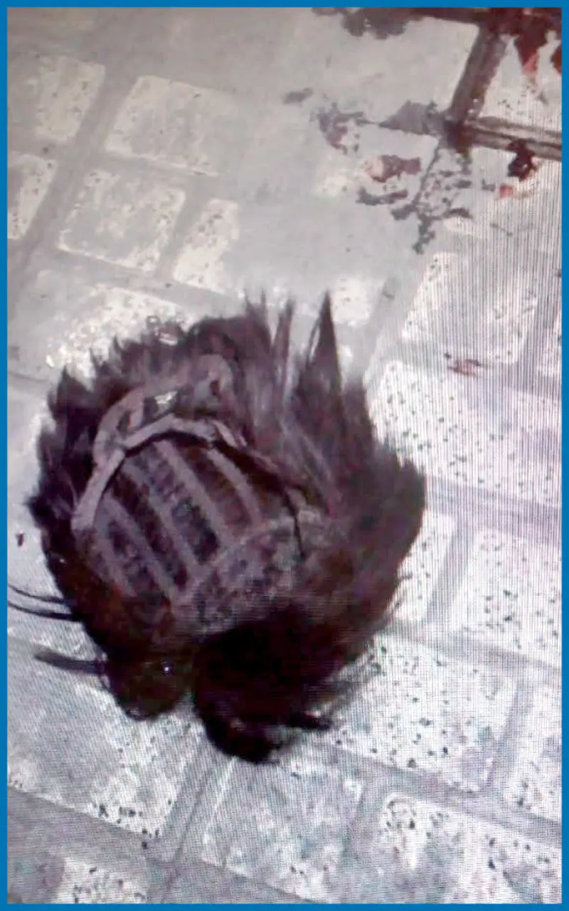 قققققققققققققققققققققققق