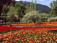 این باغ ایرانی جز ۱۰ باغ برتر جهان شد