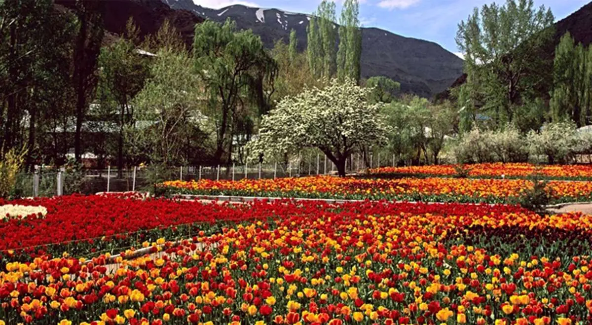 این باغ ایرانی جز ۱۰ باغ برتر جهان شد