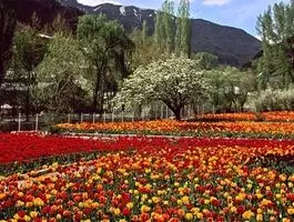 این باغ ایرانی جز ۱۰ باغ برتر جهان شد