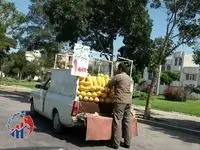 وانت‌بارهای سدمعبر کننده نقره داغ شدند