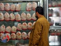 مرغ ارزان میشود