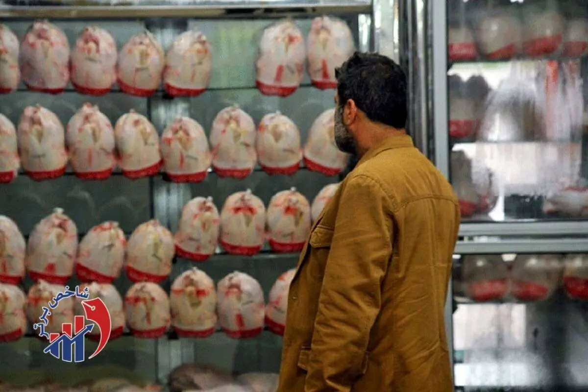 قیمت مرغ، صدای قالیباف را درآورد