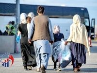 اتباع بیگانه شاغل در ایران، زیر پرچم بیمه تامین اجتماعی