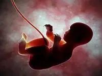 تکلیف غربالگری در دوران بارداری روشن شد 