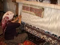 سقوط آزاد صادرات محصول ناب ایرانی