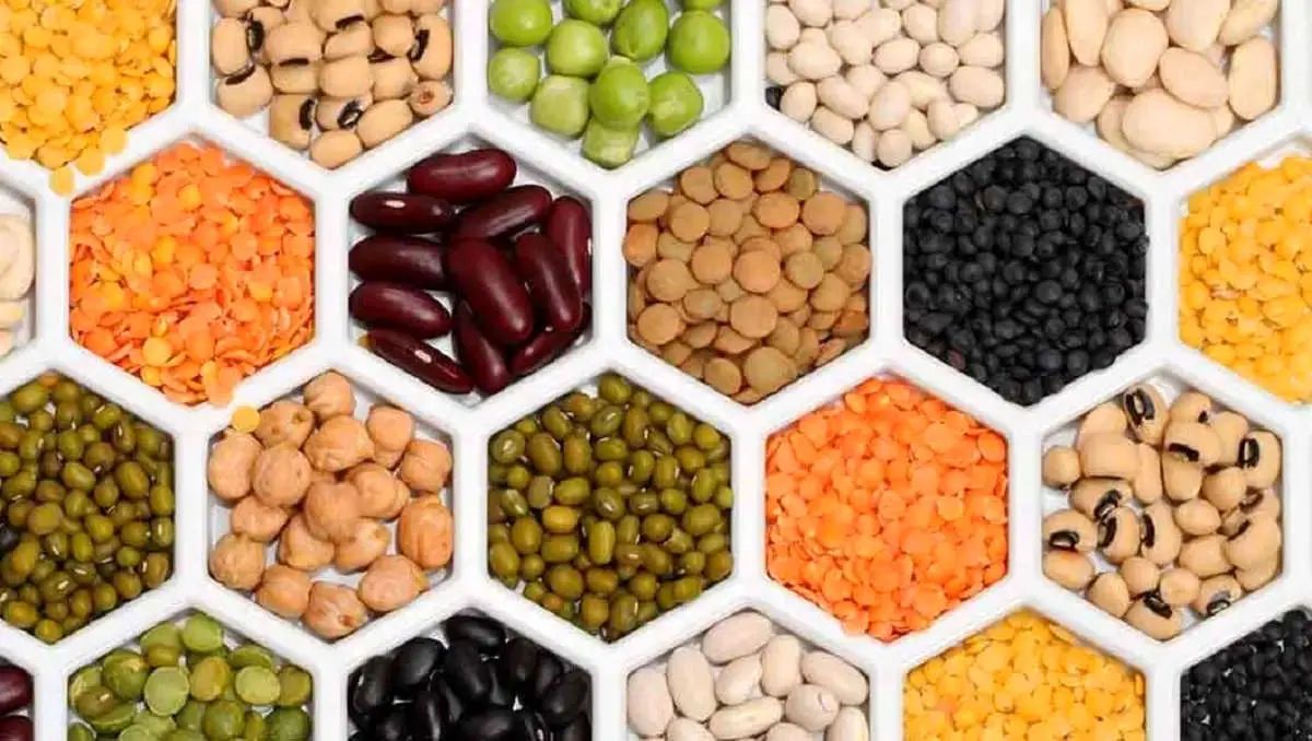 معمای عجیب لوبیا چیتی در بازار ایران! / ردپای دلالان در سفره شما