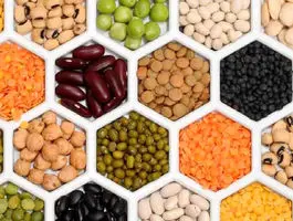 معمای عجیب لوبیا چیتی در بازار ایران! / ردپای دلالان در سفره شما