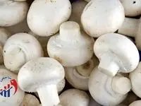 با معجرات قارچ برای سلامتی آشنا شوید