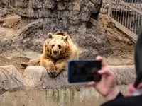 باغ وحش ارم در این روز رایگان شد