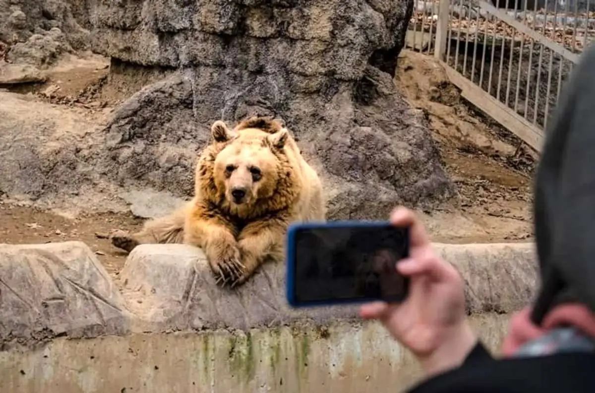 باغ وحش ارم در این روز رایگان شد