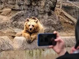 باغ وحش ارم در این روز رایگان شد