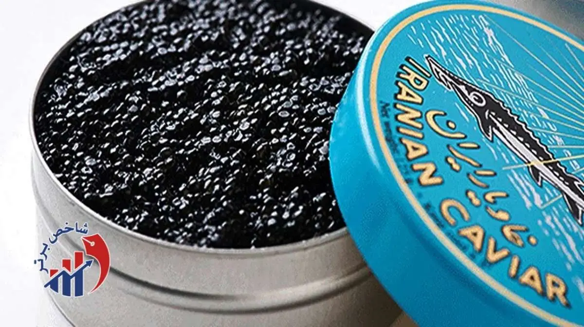 قطر عاشق این ماهی‌ ایرانی شد