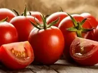 دلیل افزایش قیمت گوجه فرنگی اعلام شد