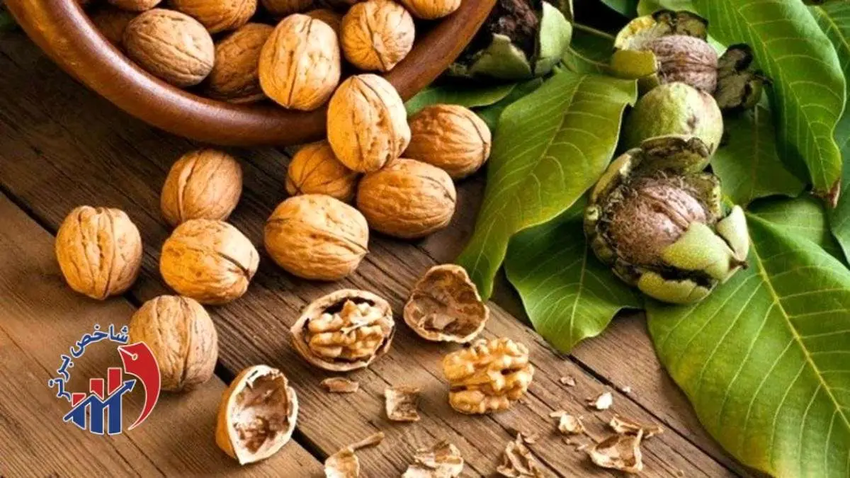 ۹ کشور طرفدار این محصول ایران شدند