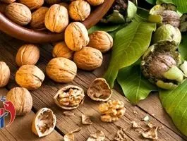 ۹ کشور طرفدار این محصول ایران شدند