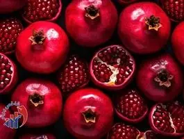 خواص شگفت‌انگیز سلطان میوه‌های پاییزی