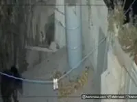 حضور سرزده یک خرس به منزل مسکونی + فیلم