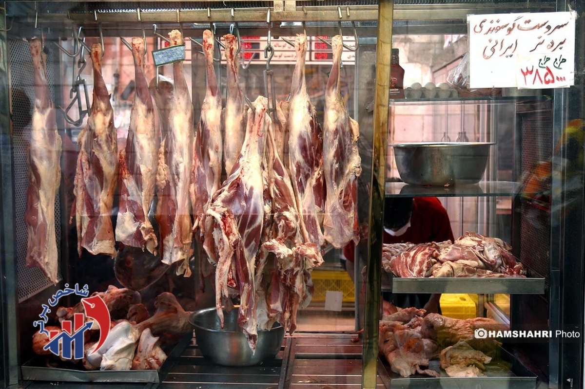 آغاز عرضه گوشت با قیمت کمتر از ۶۰۰ هزار تومان