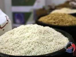 قیمت برنج هندی رسما در بازار سقوط کرد + آخرین نرخ آبان ۱۴۰۴