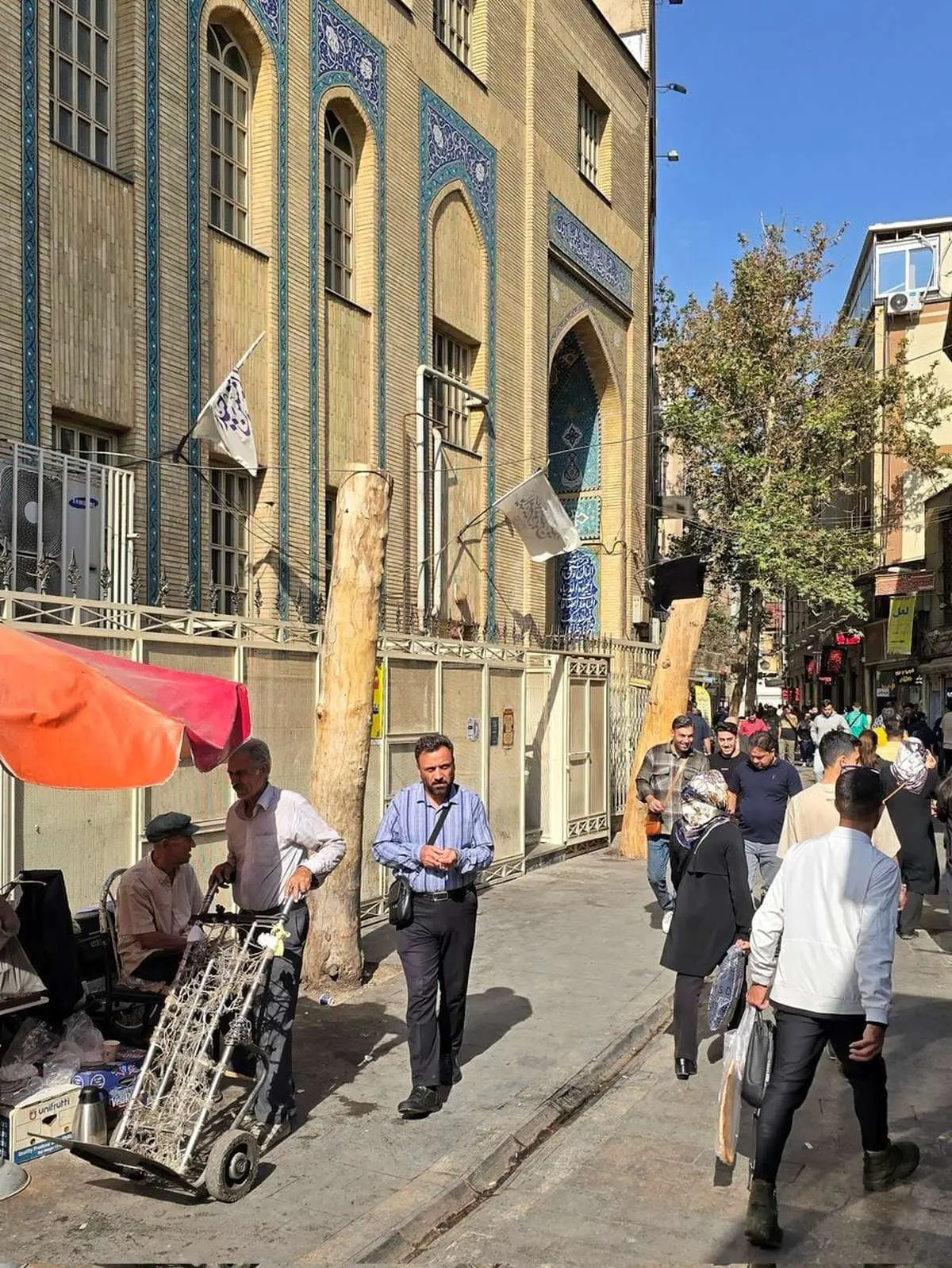 درختان تاریخی تهران قطع شدند