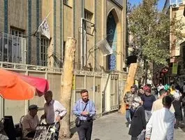 درختان تاریخی تهران قطع شدند