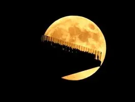 فردا شب همه به آسمان نگاه می‌کنند