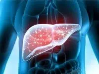 اگر کبد چرب دارید بخوانید / راهکار موثر برای بهبود