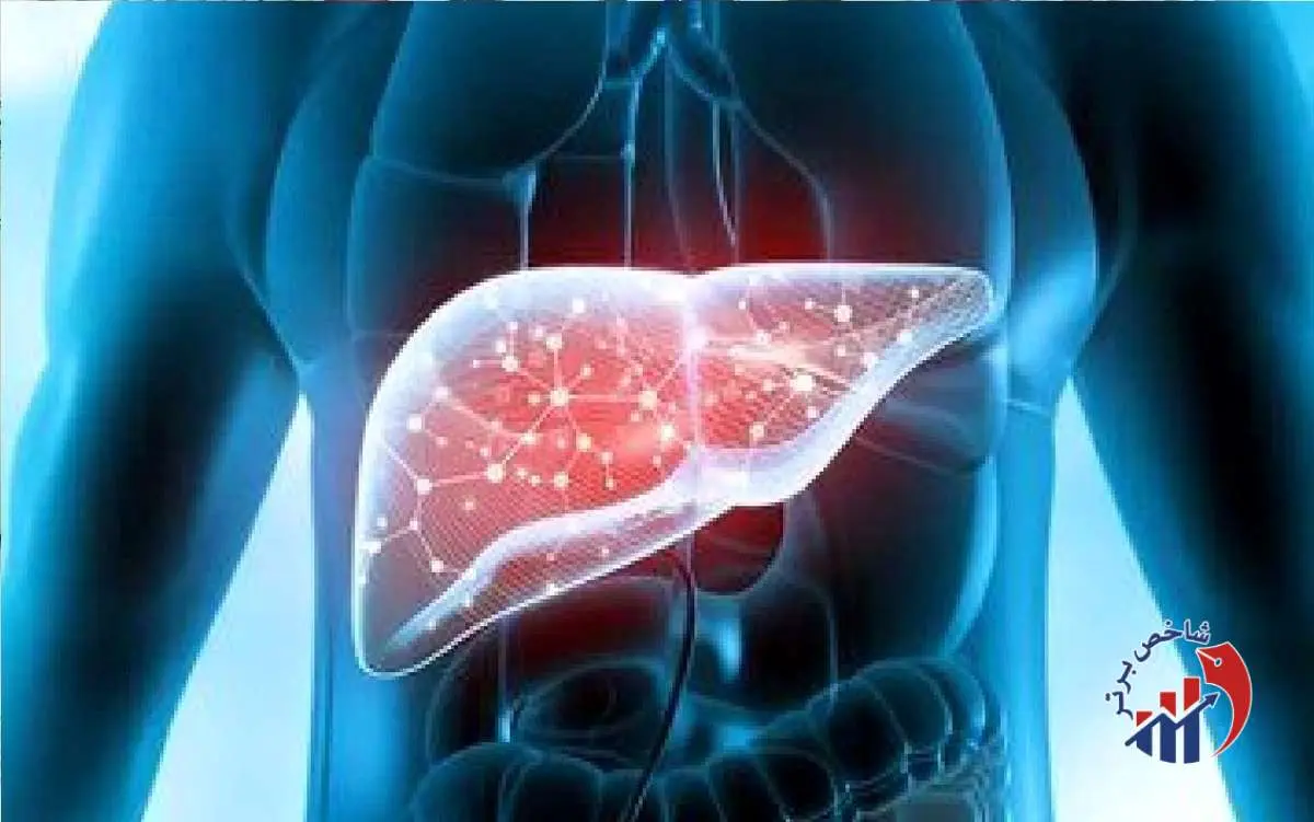 اگر کبد چرب دارید بخوانید / راهکار موثر برای بهبود