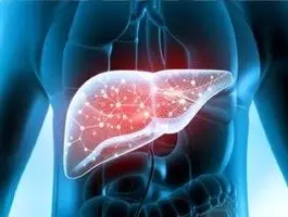 اگر کبد چرب دارید بخوانید / راهکار موثر برای بهبود