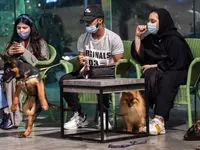 برگر مخصوص سگ ها از راه رسید + عکس منو