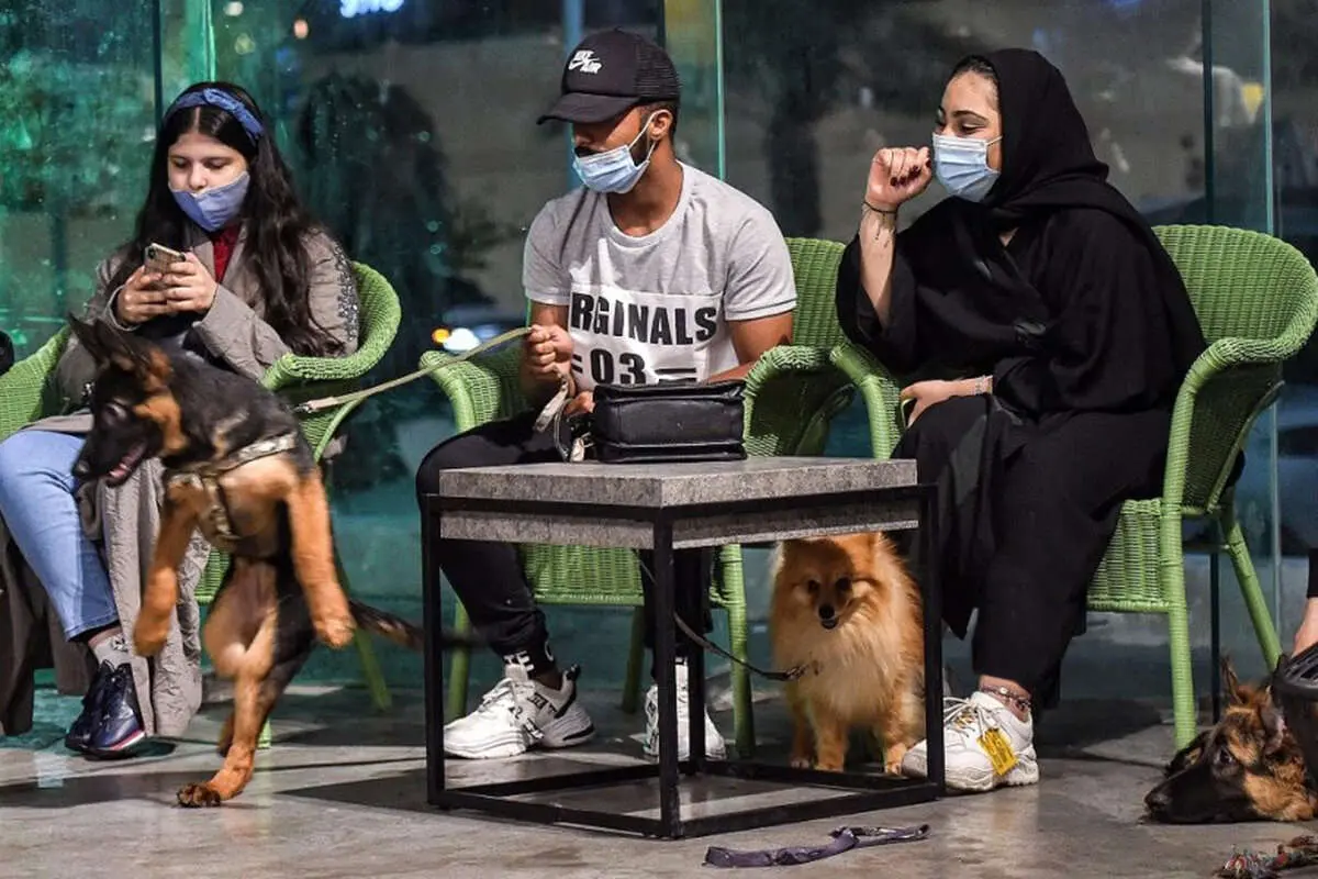 برگر مخصوص سگ ها از راه رسید + عکس منو