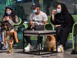 برگر مخصوص سگ ها از راه رسید + عکس منو