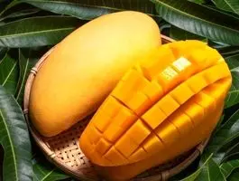 پای سلطان میوه‌ها از کنیا به ایران باز شد