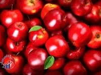 ۲۰ کشور برای این میوه ایران صف کشیدند