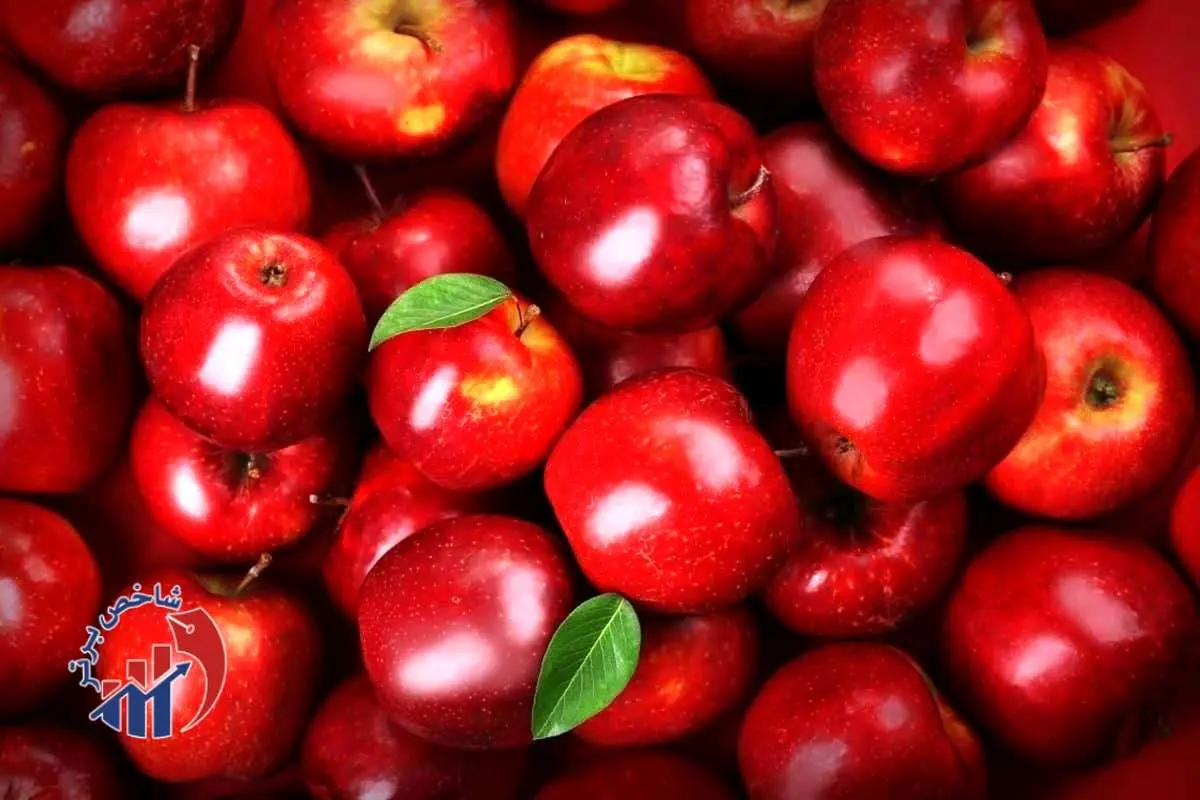 ۲۰ کشور برای این میوه ایران صف کشیدند