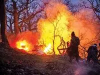 بالاخره خبر خوش از چالوس رسید 