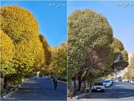 عکس عجیب پاییزی از تهران تنها به فاصله یکسال / همه ببینید