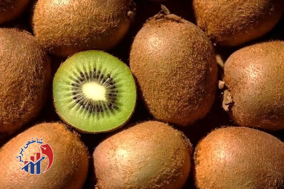 میوه ناب ایران به ۲۳ کشور صادر شد