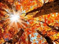 پاییز امسال با آب و هوای تابستانی / ۵ درجه دمای بیشتر تا آذرماه! 