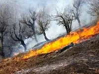 خبر ناگوار از جنگل‌های شمال / بالگردها اعزام شدند